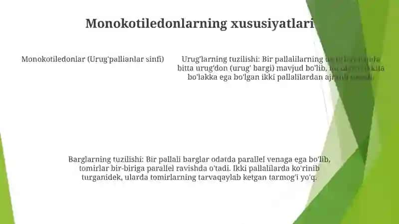 Bir Urug'Pallalilar Sinfi 4