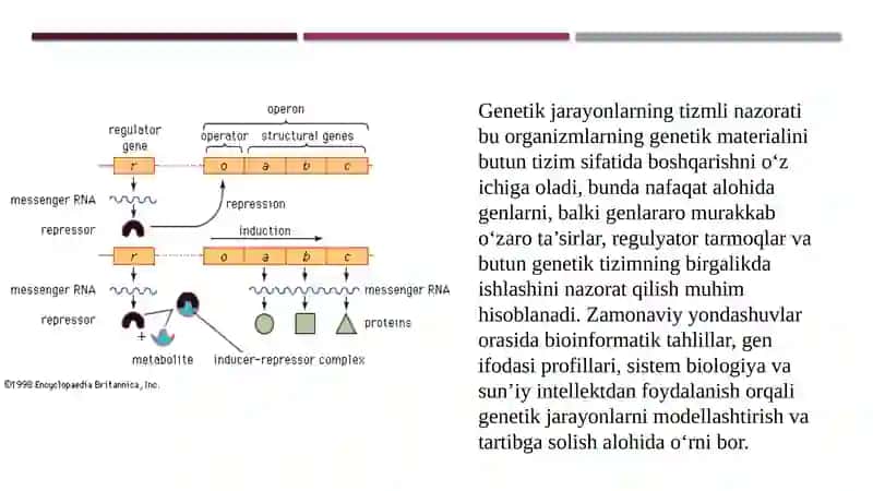 Genetik jarayonlarning tizmli nazorati 4
