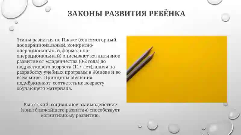 Законы и принципы образования 4