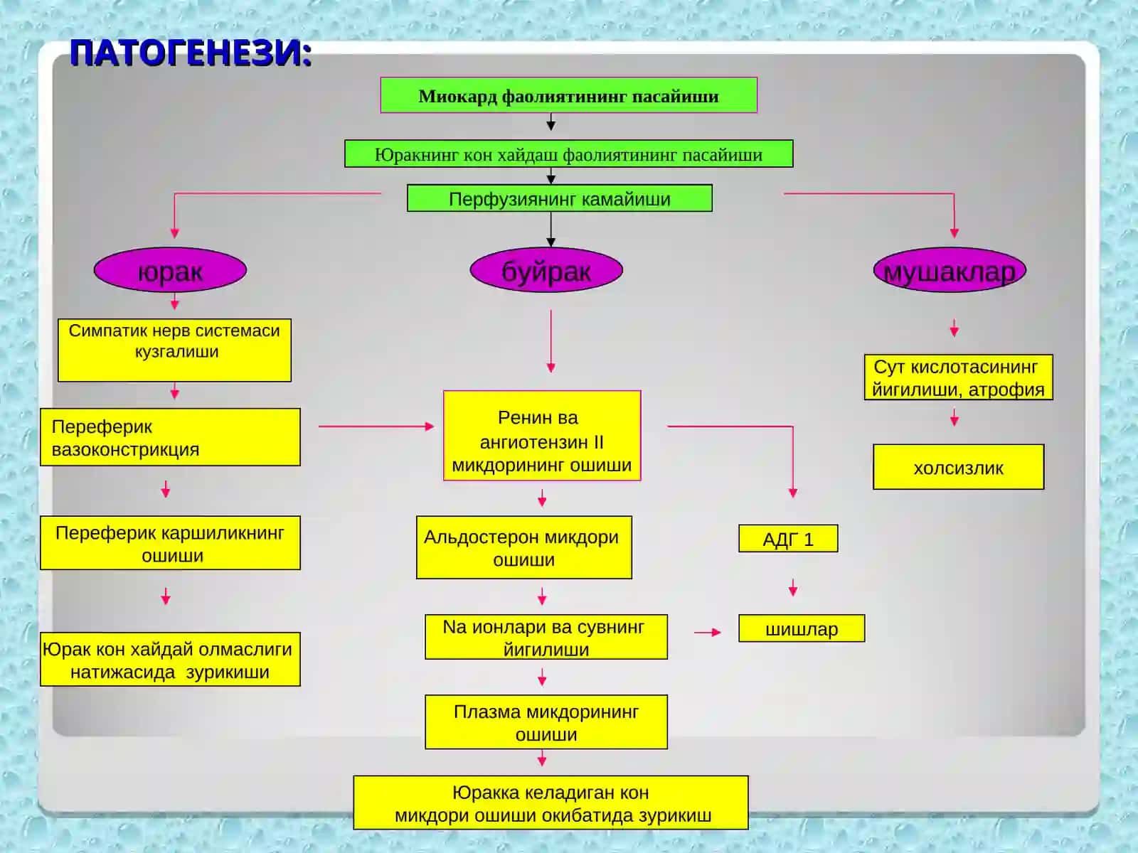 Кон айланиш етишмовчилиги этиологияси 4