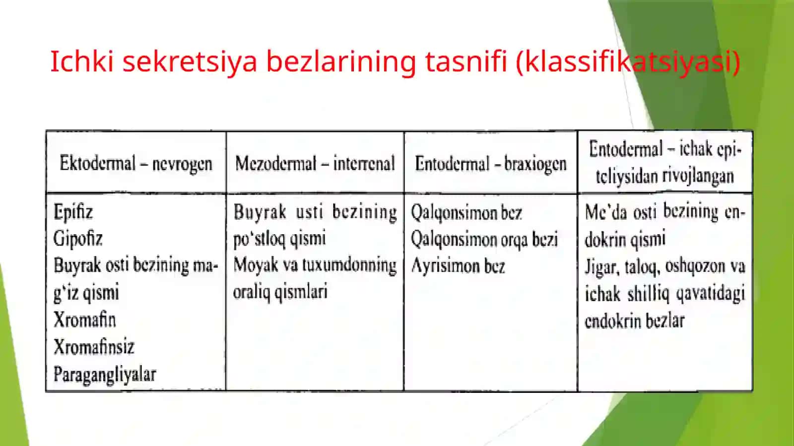 Endokrin bezlar 4