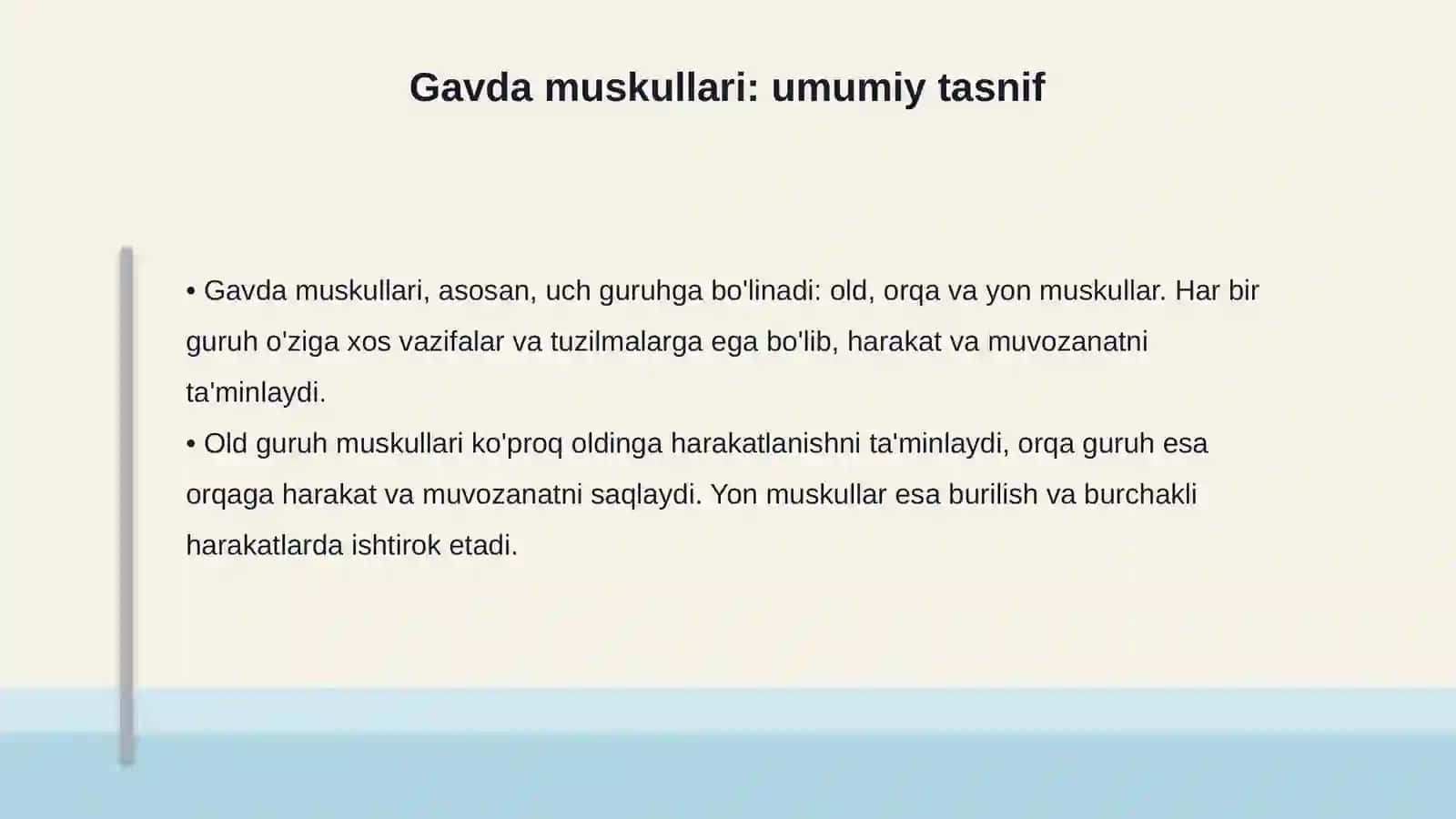 Muskul to'qimasi Gavda muskullari gavdaning orqa guruh muskullari 4