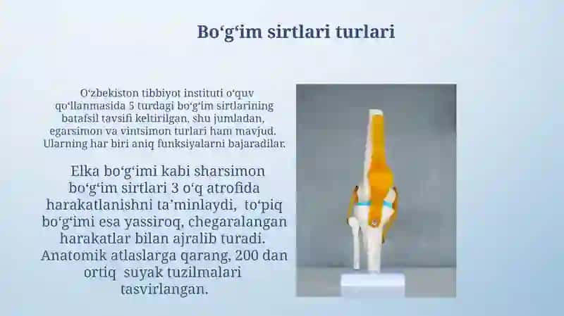 Xaftaga asoslangan boʻgʻimlar 4