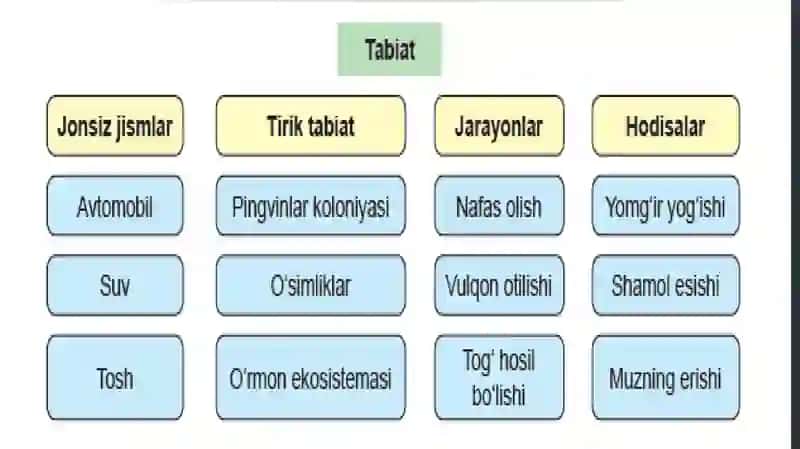 TABIIY FANLARNING TADQIQOT OBYEKTI 4