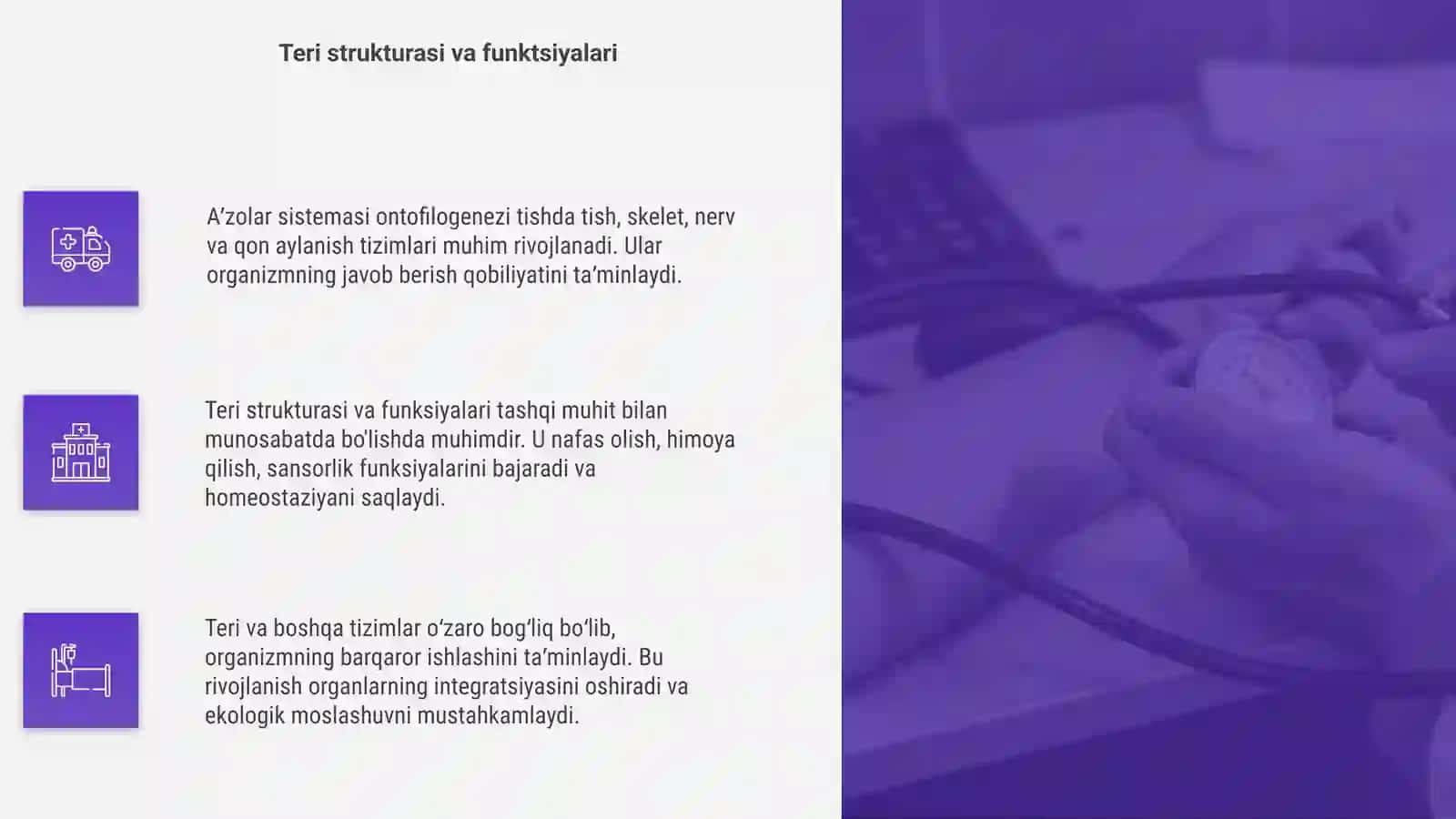 Aʼzolar sistemasi ontofilogenezi 4