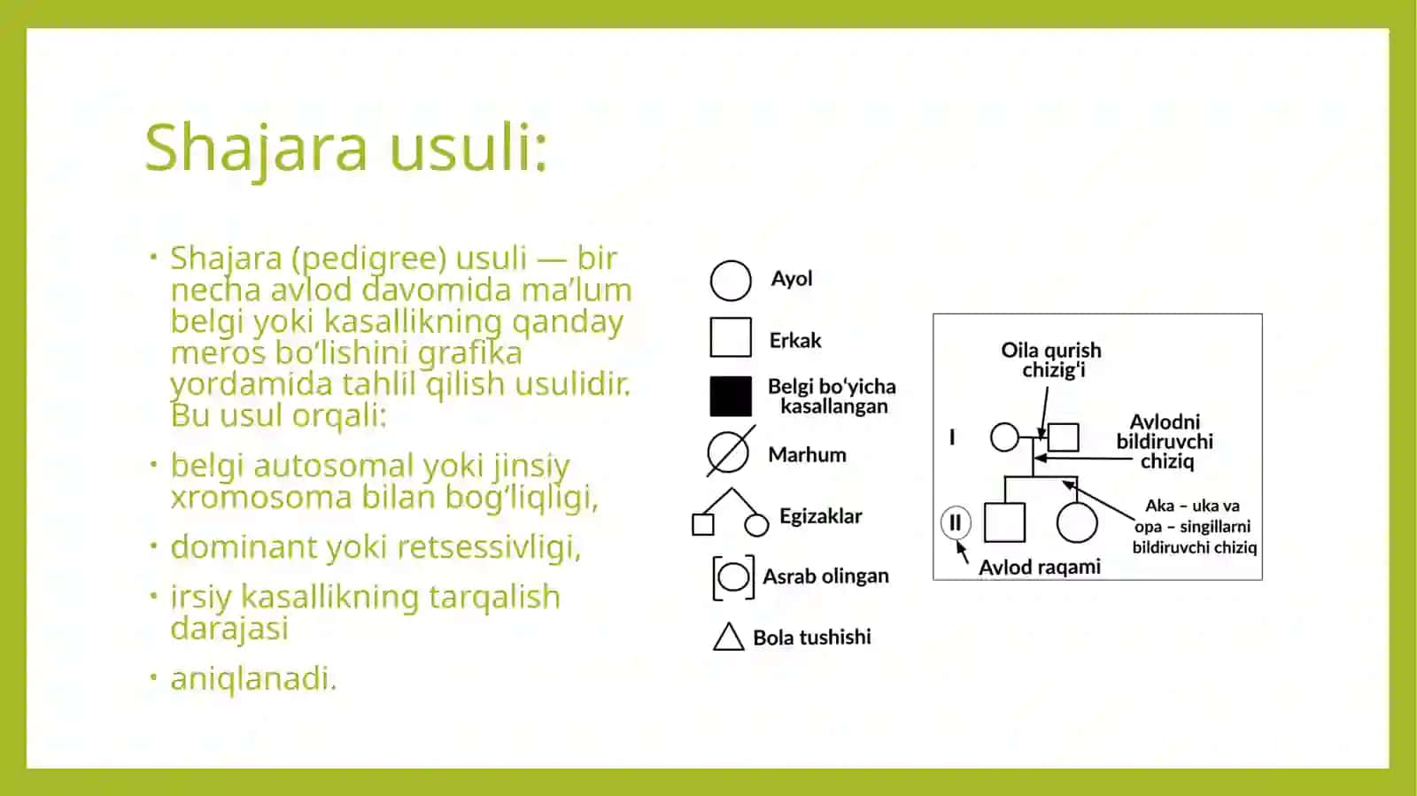 ANTROPOGENETIKA USULLARI: SHAJARA USULLARI VA EGIZAKLAR USULI 4