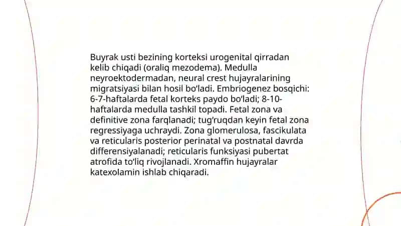 Buyrak usti bezlari 4