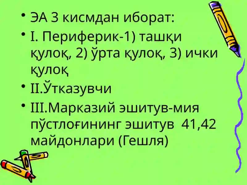 Vestibulyar analizator 4