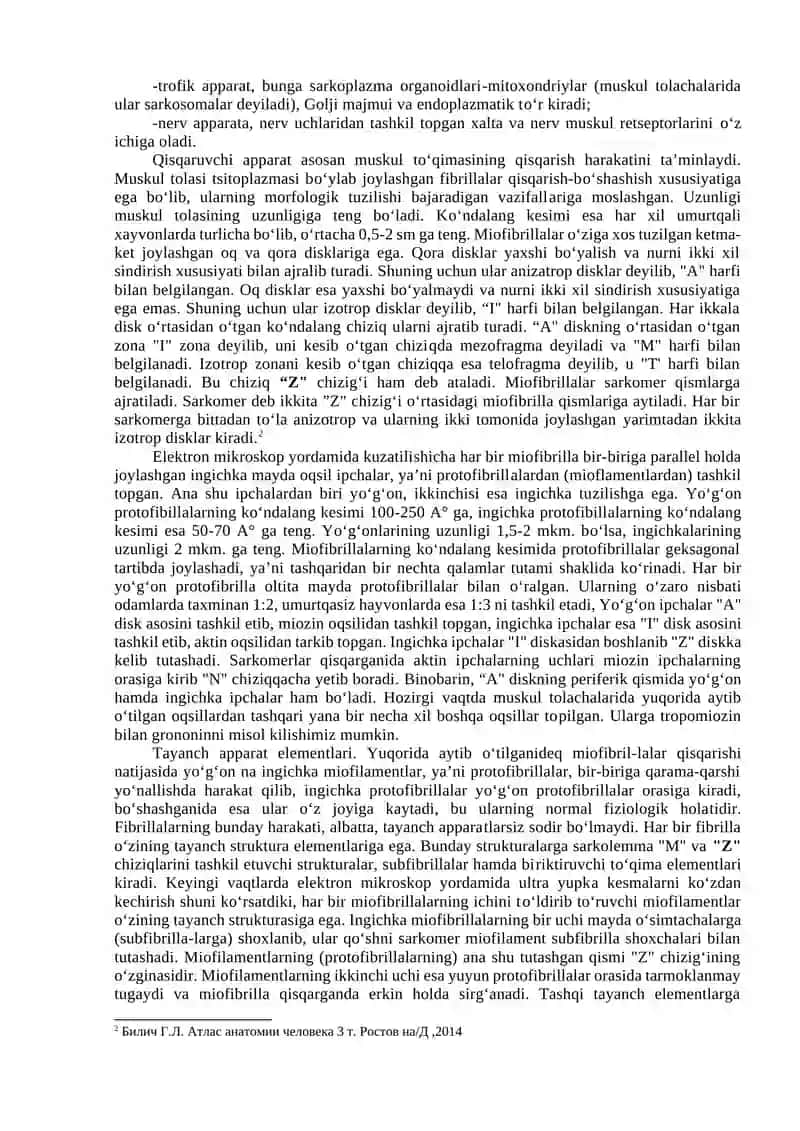 MIOLOGIYA 4