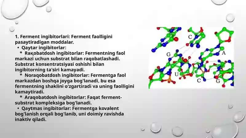 Oqsil BIOSINTEZI INGIBITORLARI 4