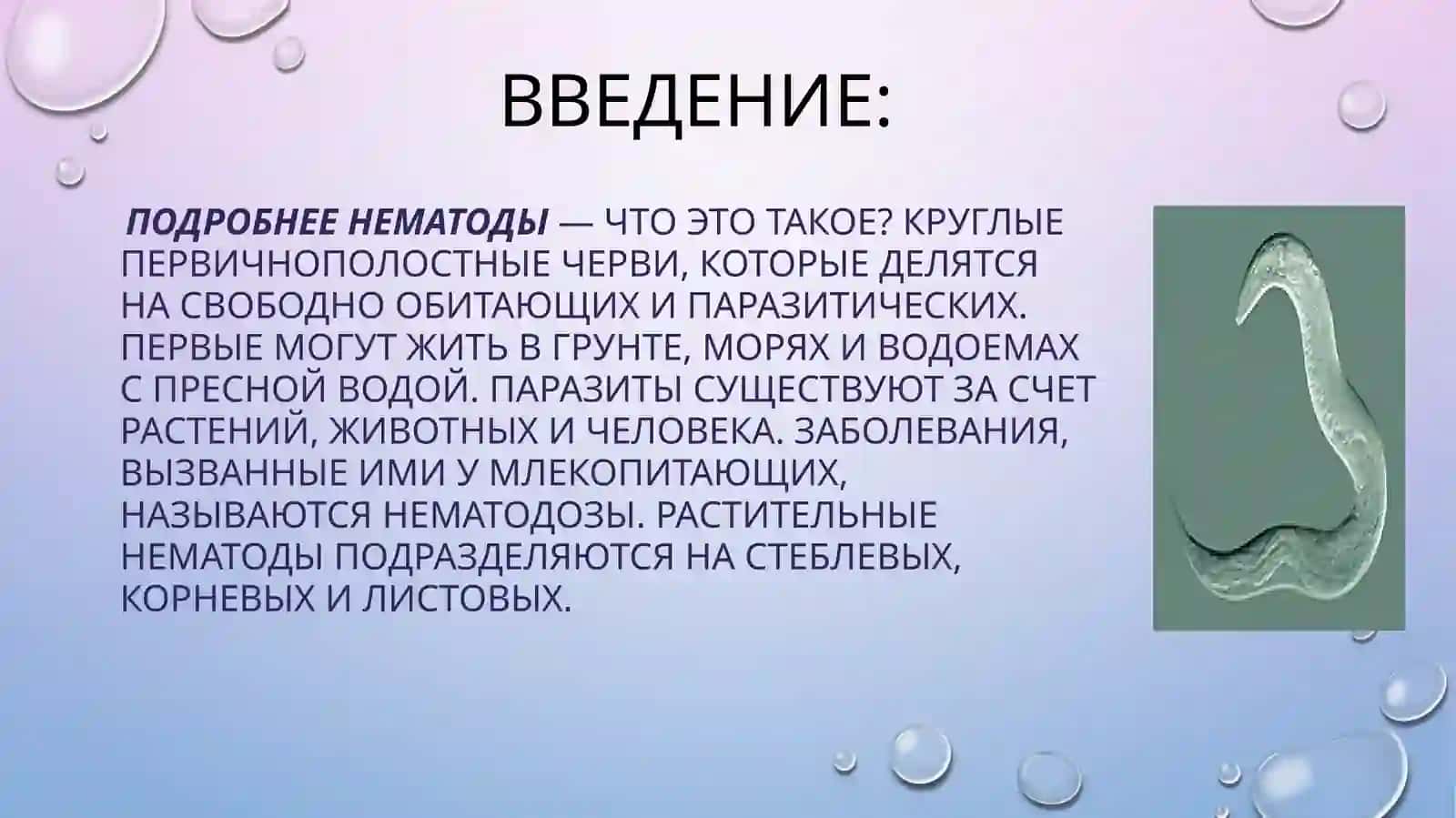 Биология почв 4