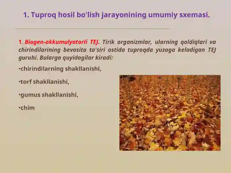 Tuproqlarning morfologik xususiyatlari 4