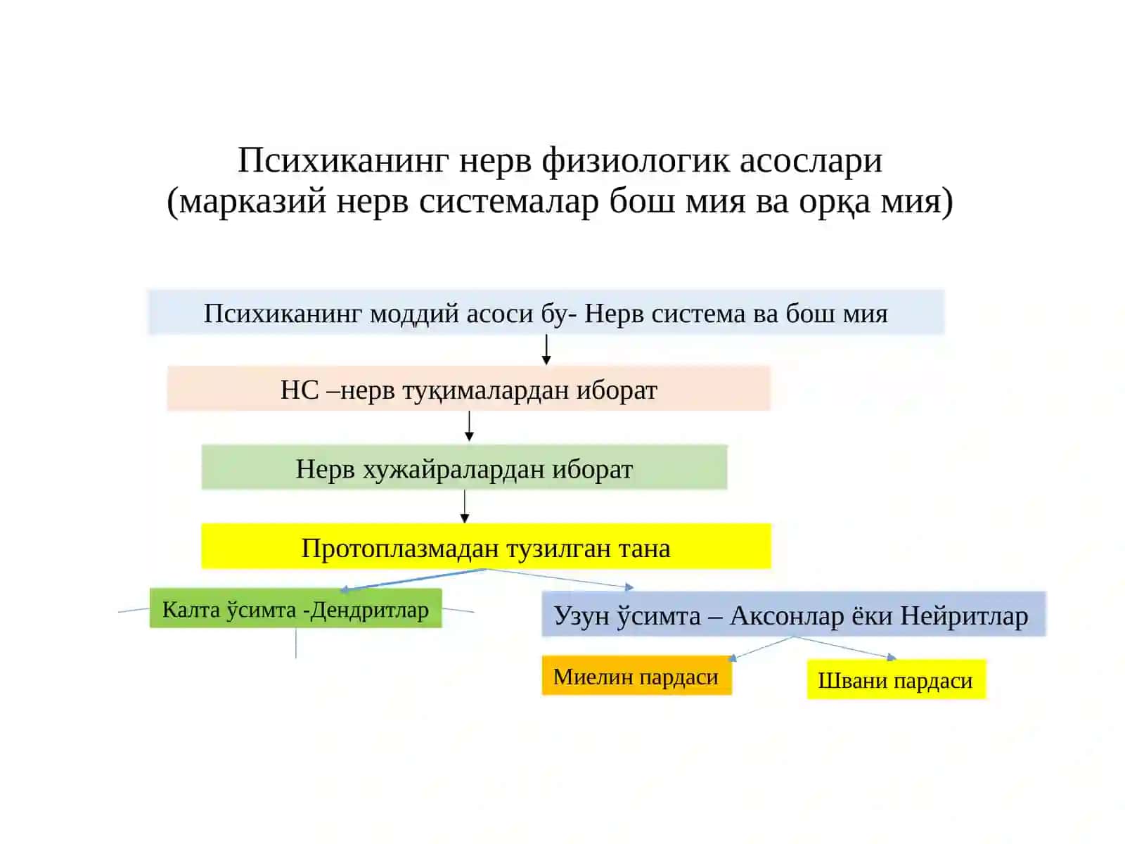 Zamonaviy psixologiya fanining tamoyillari 4