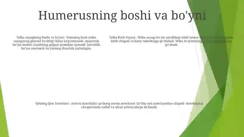 Yelka Bosh Poyasi 4