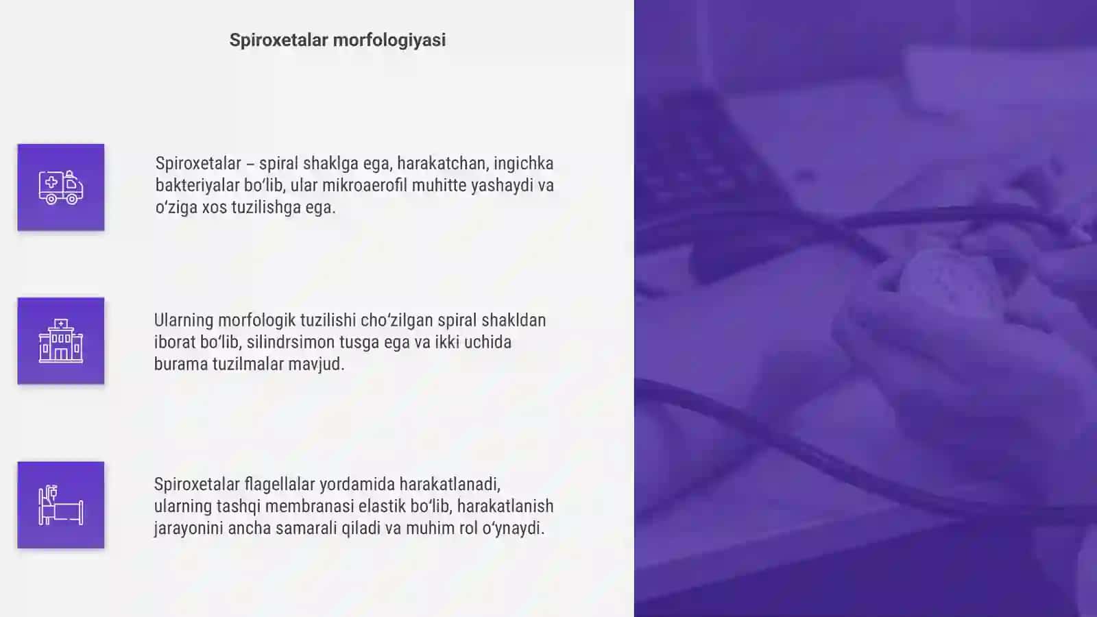 Patogen spiroxetalar haqida tushuncha 4