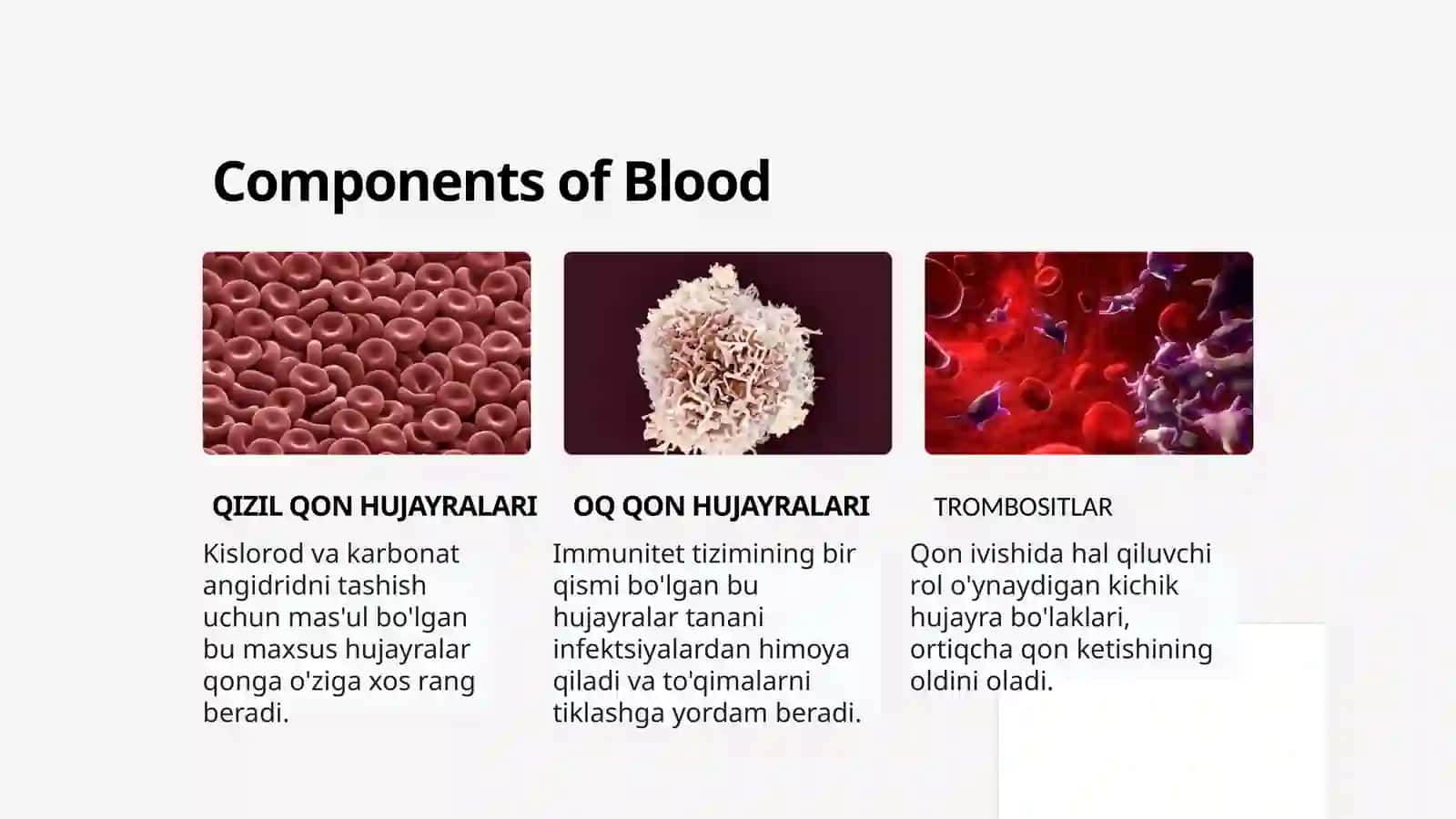 Qon va qon aylanish tizimi 4