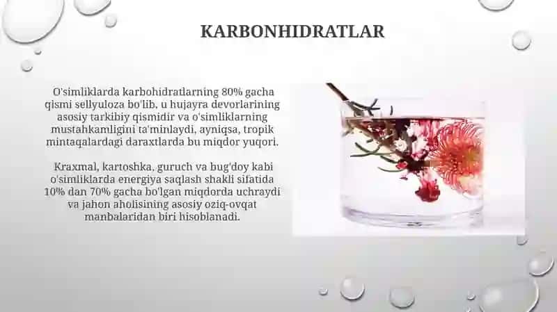 Oʻsimliklarning kimyoviy tarkibi 4