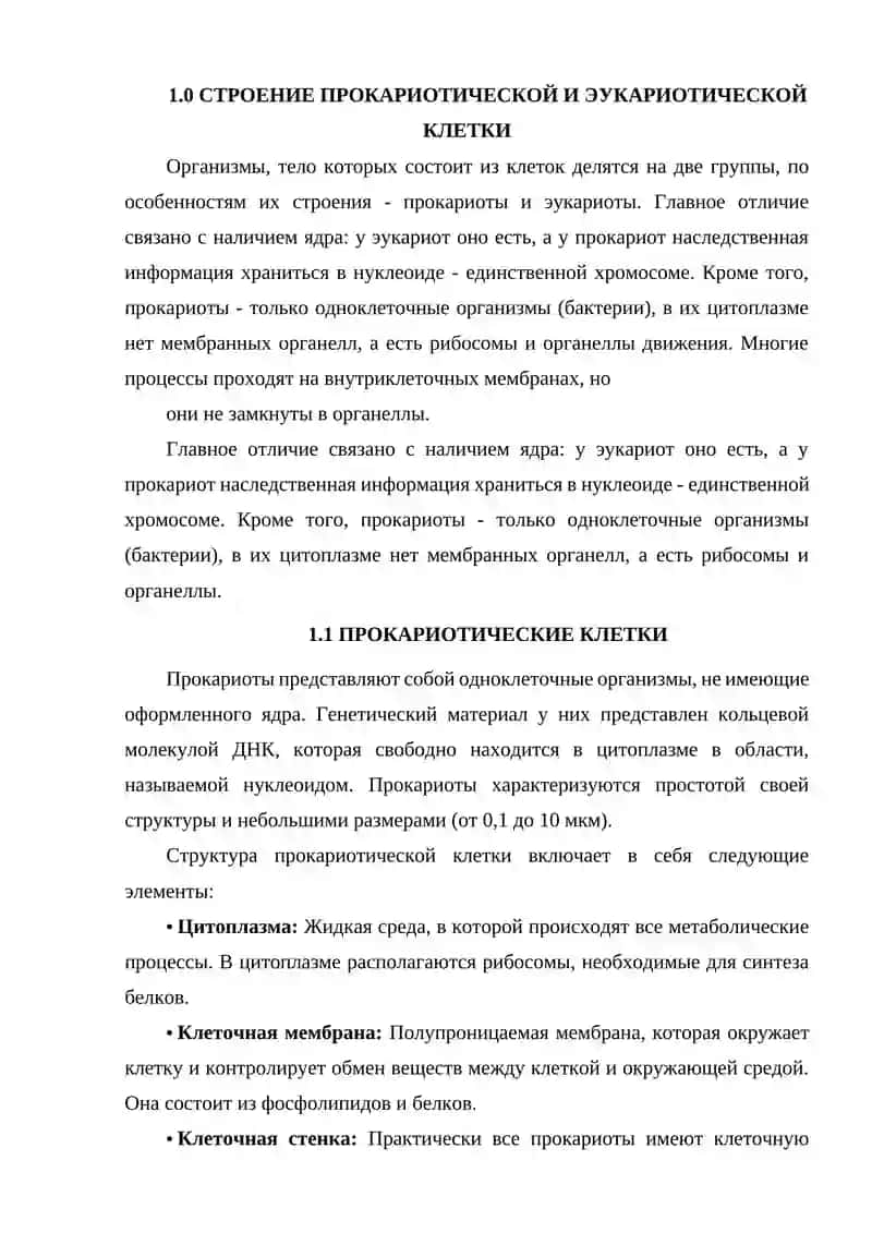 Строение прокариотической и эукариотической клетки 4