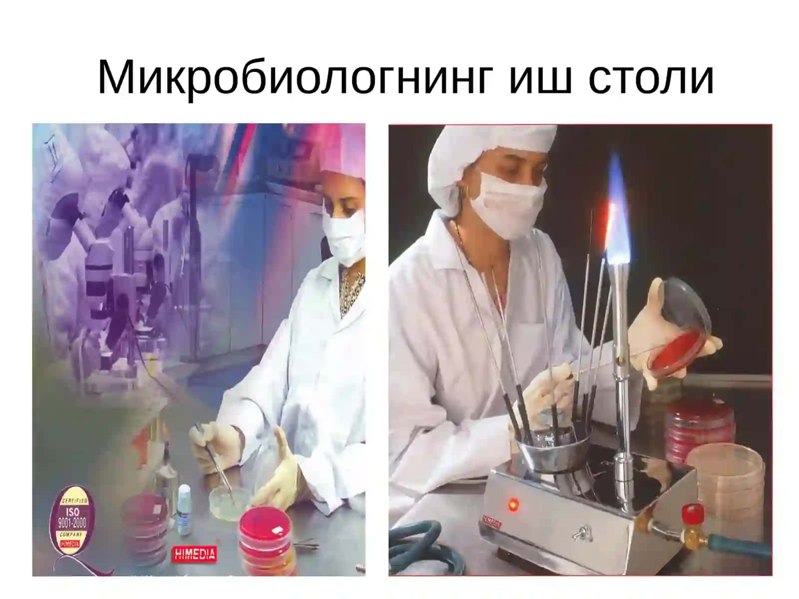 Bakteriyalar rivojlanishi uchun zarur ozuqa muhitlari 4