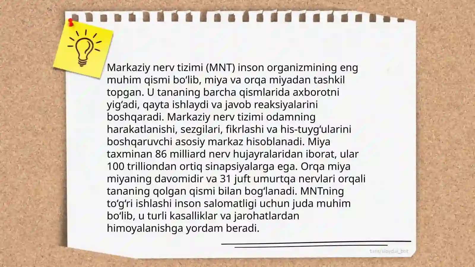 Nerv tizimining ahamiyati va gigiyenasi 4