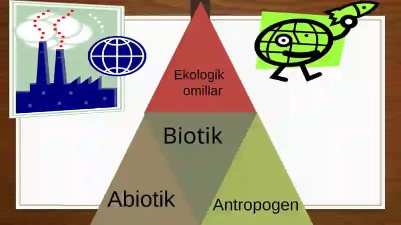 EKOLOGIK OMILLAR 4