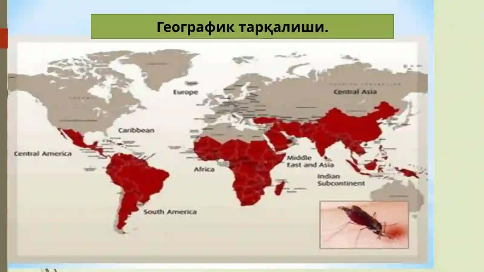 Безгакплазмодияси 4
