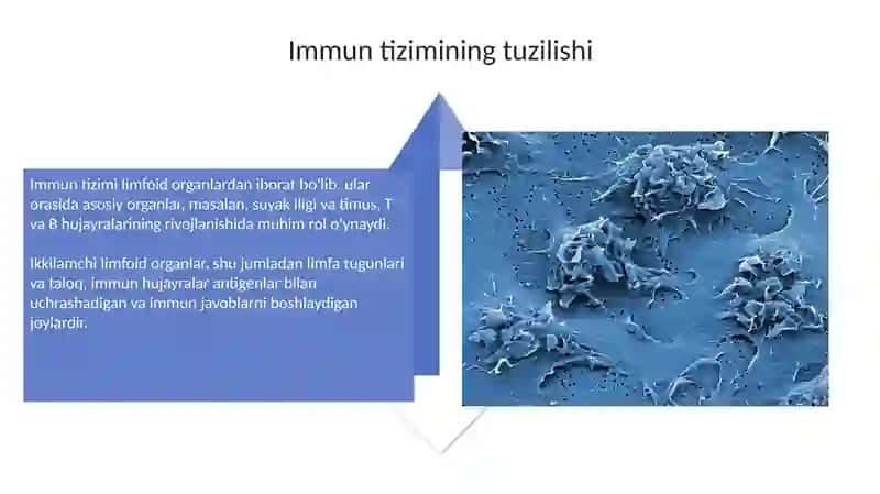 1-son davolash ishi Mikrobiologiya fani 4