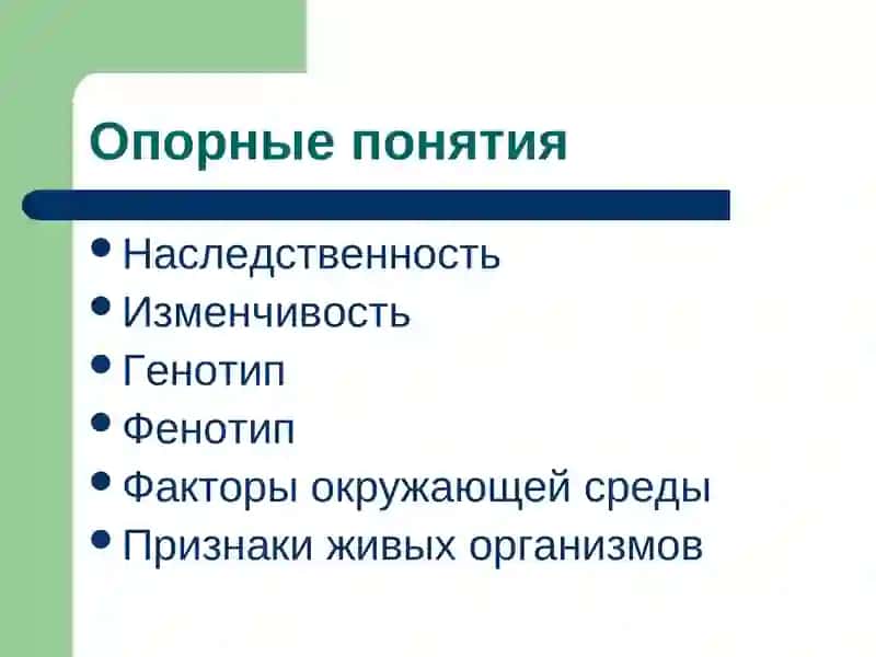 Модификационная изменчивость 4