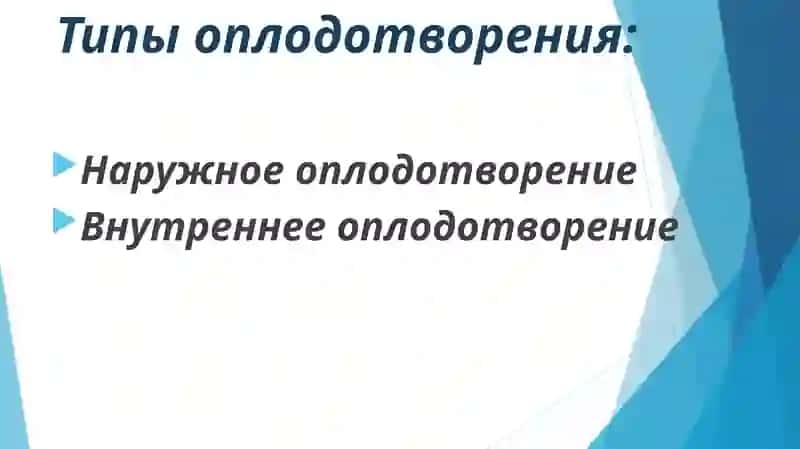Оплодотворение 4