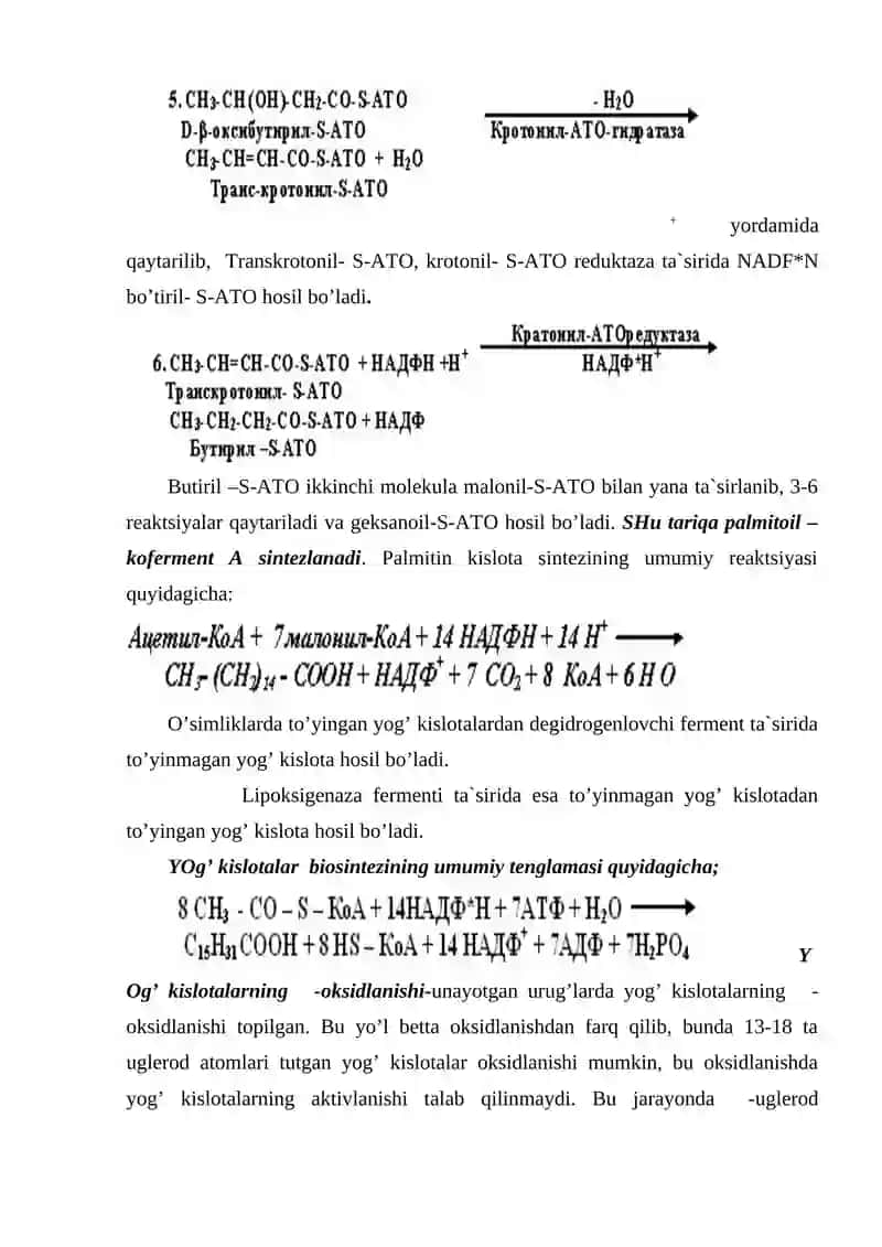 Yog’ kislotalarning biosintezi 4