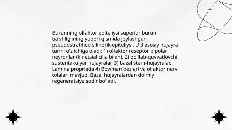 Hid bilish a'zosi anatomiyasi 4