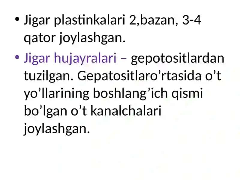 Jigar gistalogiyasi 4
