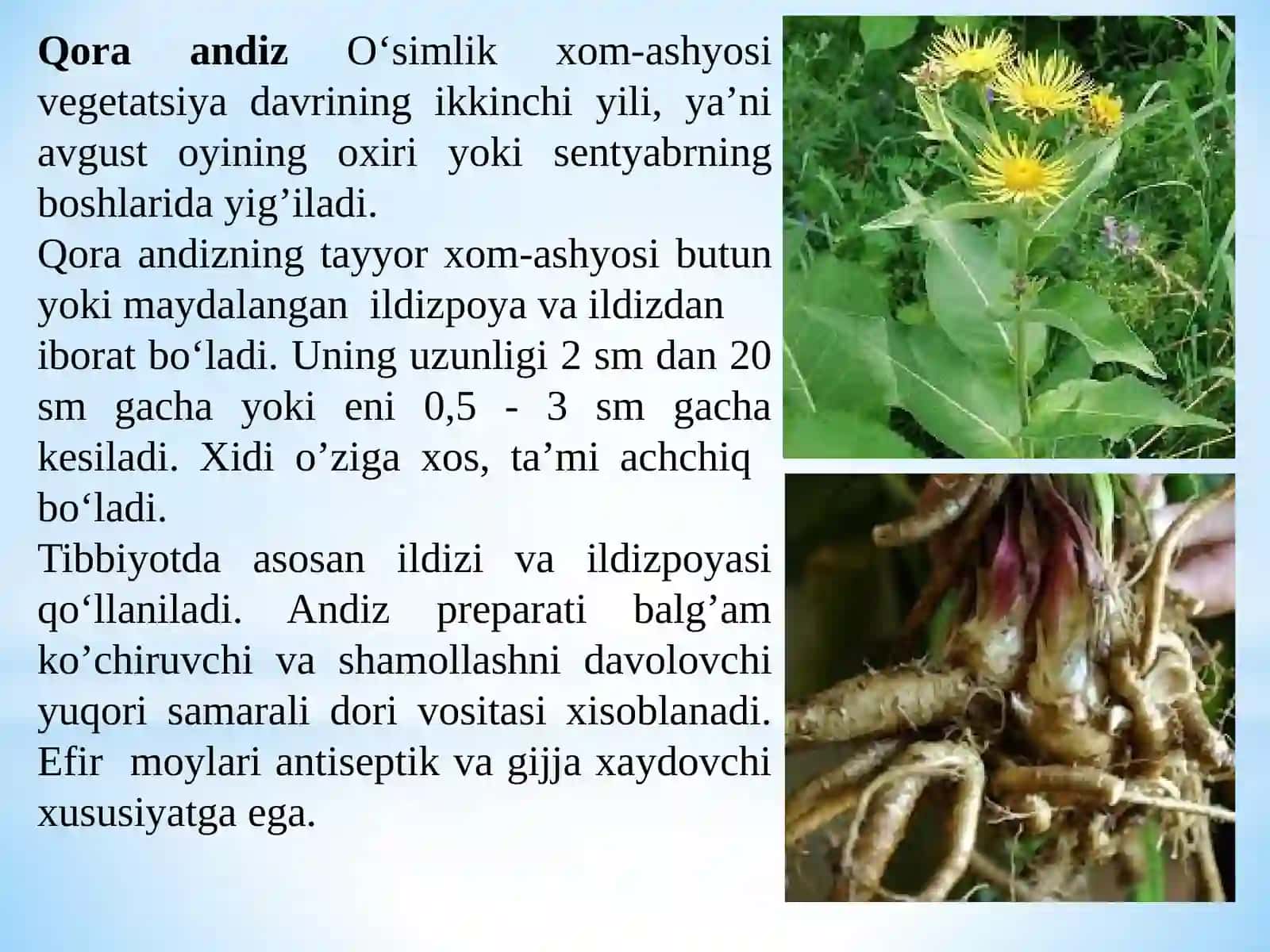 Dorivor Asorun xom ashyosini standartlash 4
