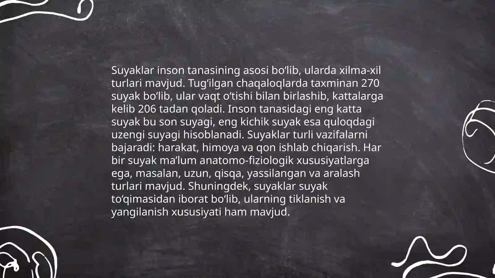 Odam suyaklarini oʻrganish 4
