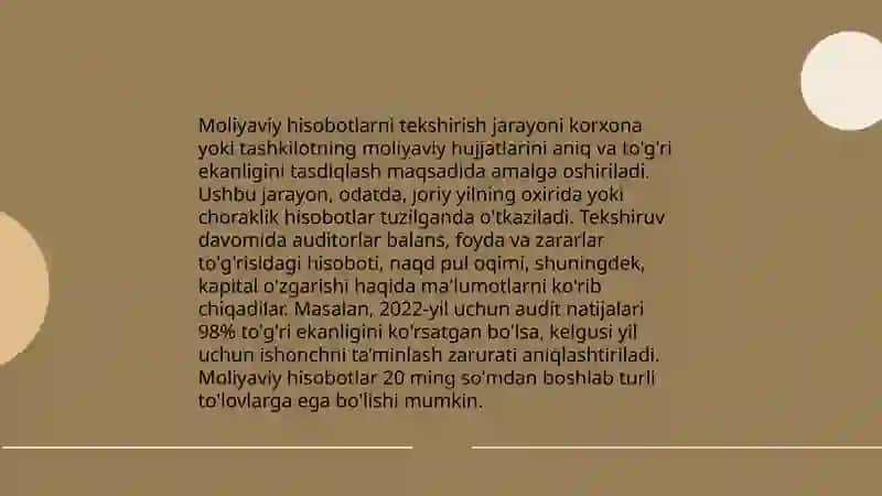 Tashqi audit 4