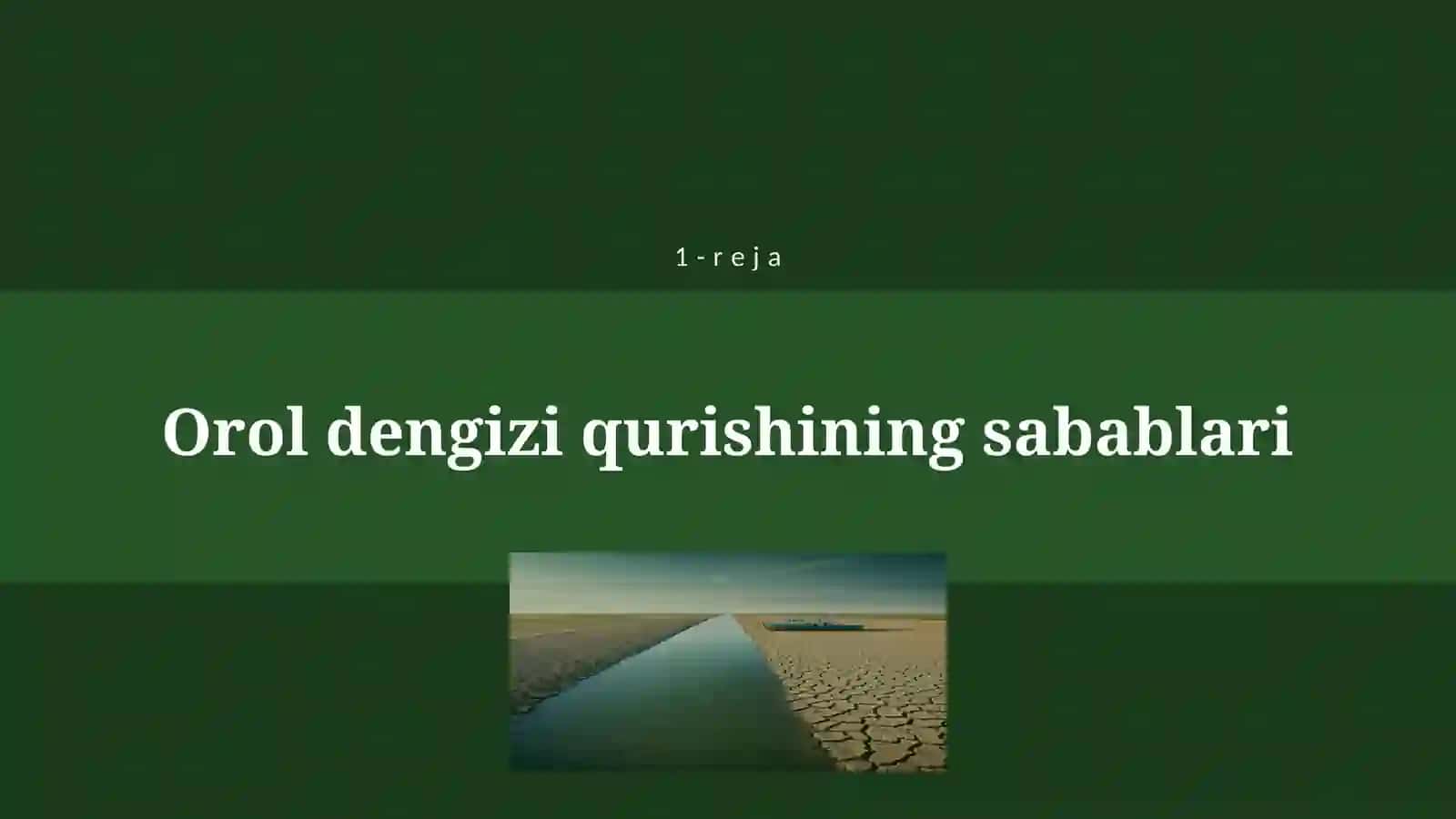 OROL BO'YI HUDUDIDAGI EKOLOGIK MUAMMOLAR 4