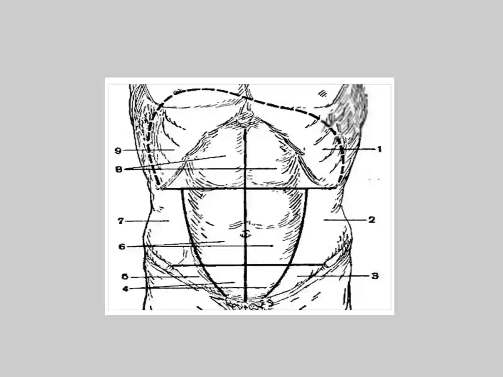 Qorinning old-yon devori 4