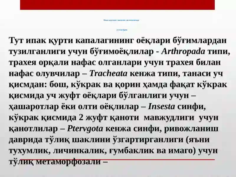 Ипакчилик ва тутчилик 4