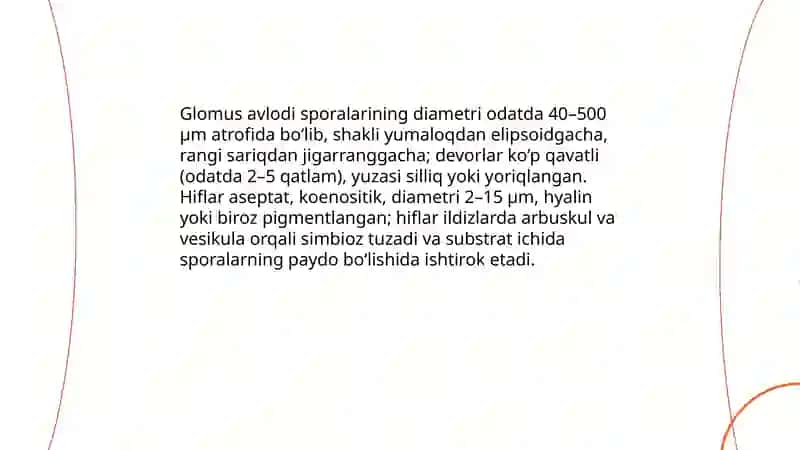 Glomus avlodi zamburugʻi 4