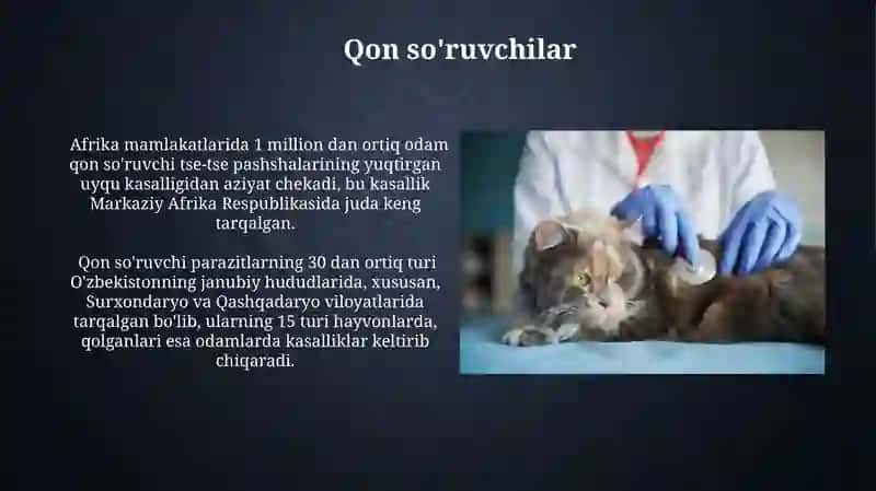 Hayvonlarda jigar soruvchisi 4