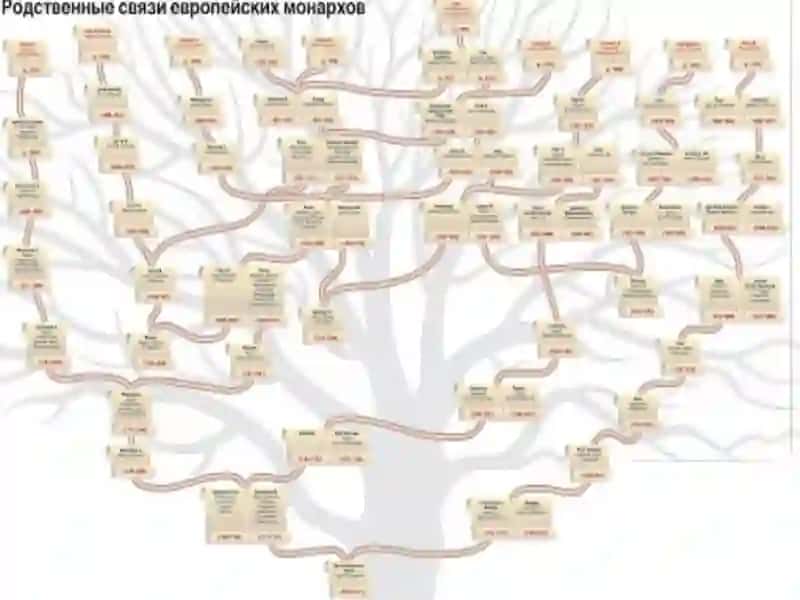 Qarindoshlar o`rtasidagi nikohning salbiy oqibatlari 4