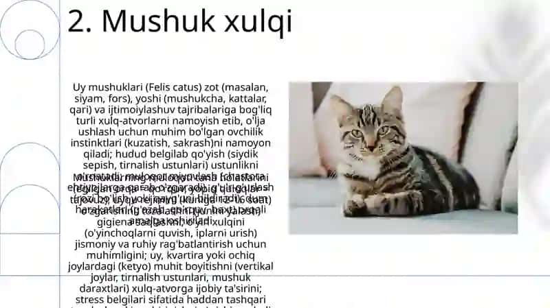 Mushuklar 4