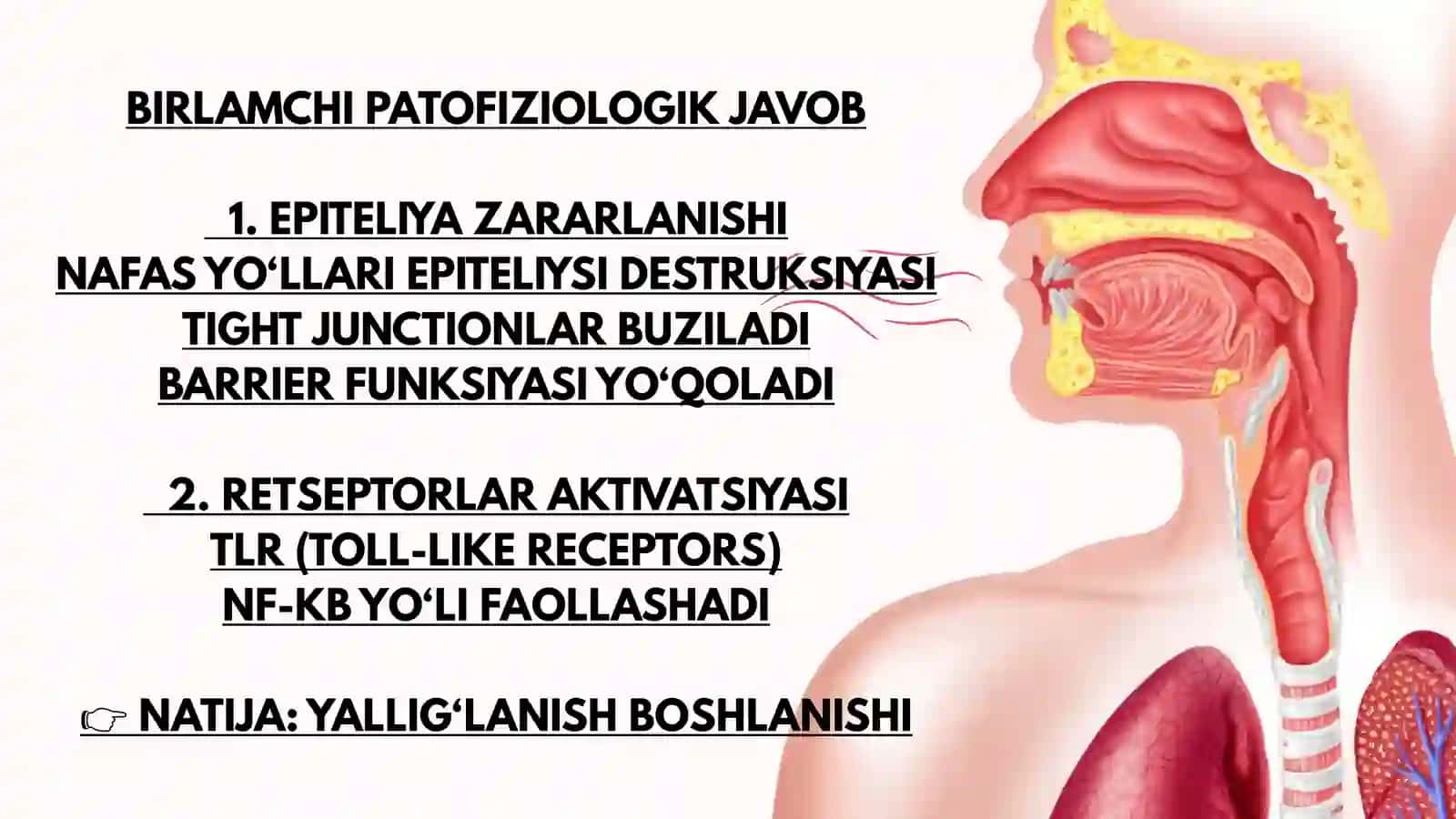 HAVO IFLOSLANISHINING O'PKA PATALOGIYASIDAGI AHAMIYATI 4