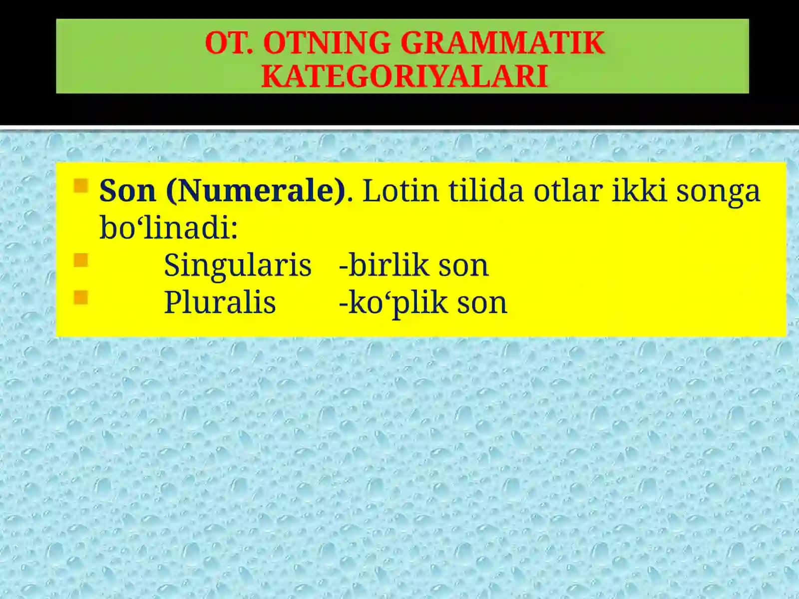 OT. OTNING GRAMMATIK KATEGORIYALARI.MOSLASHMAGAN ANIQLOVCHI 4
