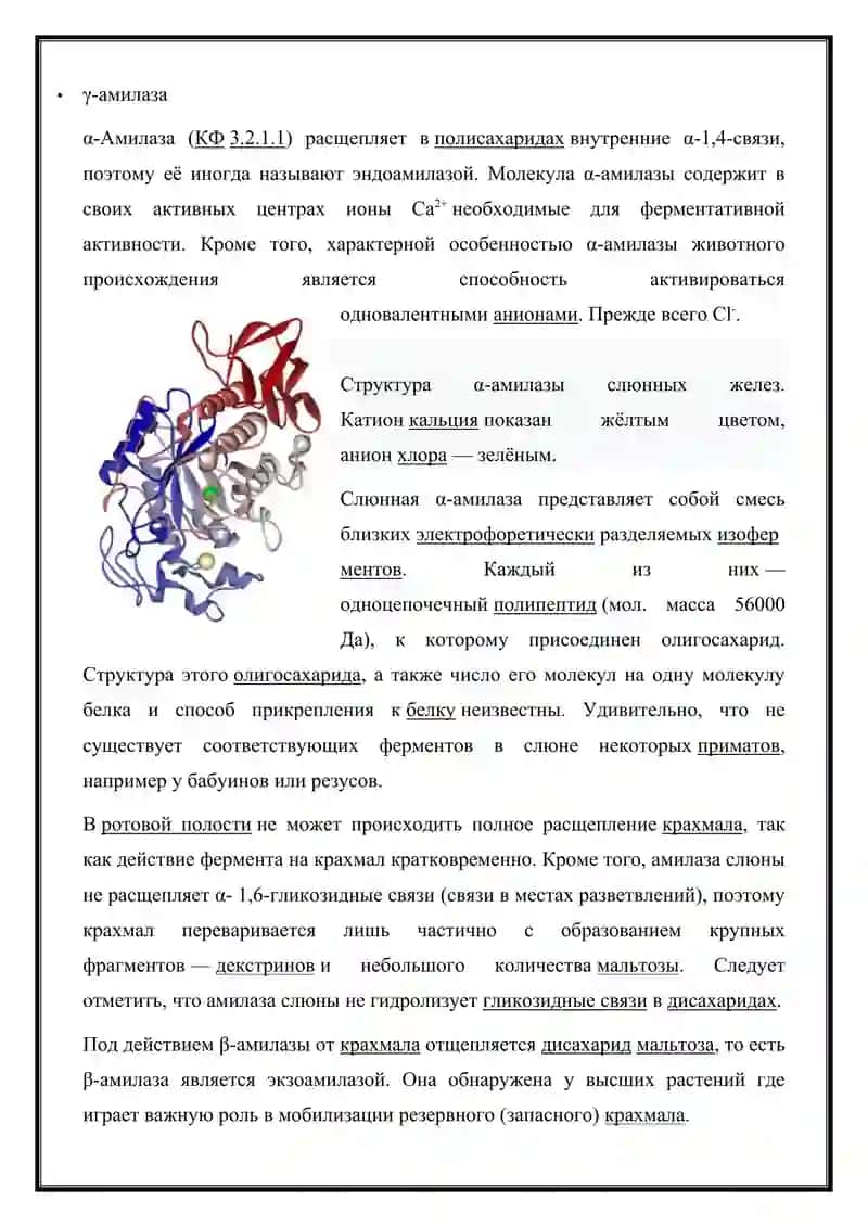 Углеводы. Структура и функции 4