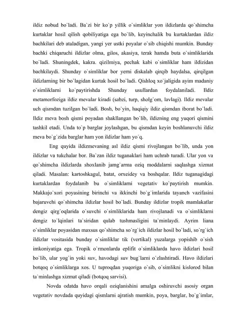 Ildiz haqida umumiy ma'lumotlar 4