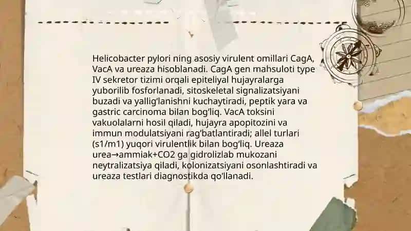Gastrit oshqozon ichak yarasi va kolit kelib chiqishida mikroorganizmlarning ahamiyati, patogenezi, labaratoriya tashxisi 4