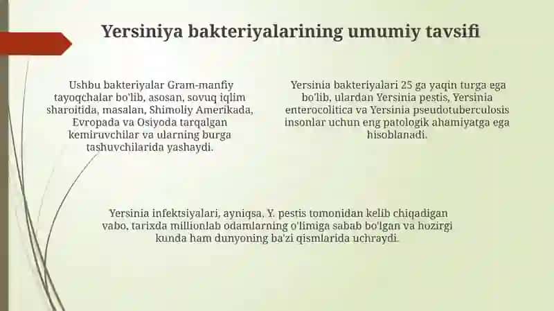 Yersinioz 4
