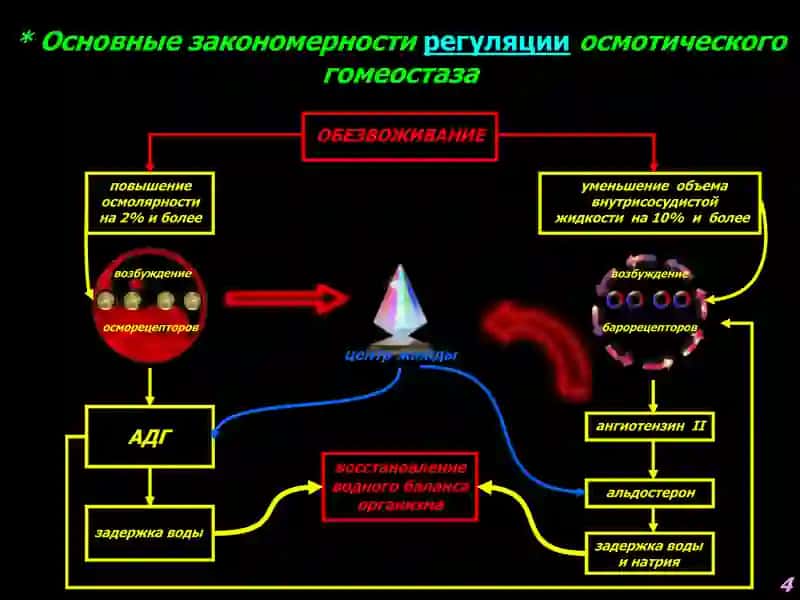 Патофизиология водно-солевого обмена 4