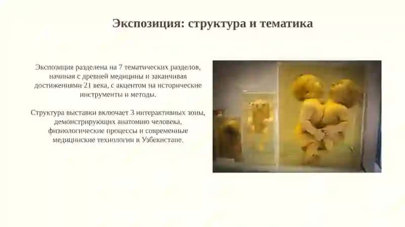 Музей здравоохранения Узбекистана 4